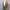 Y2K Japanese Tiger Mesh Women Outer photo 2