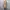 Y2K Japanese Tiger Mesh Women Outer photo 5