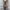Y2K Japanese Tiger Mesh Women Outer photo 3
