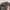 Fred Perry Casual Sweatshirt Pria green photo 6
