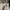y2k clear glasses photo 3