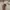 y2k clear glasses photo 2