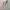 ˚ʚ mint milkmaid ɞ˚ photo 4