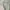 ˚ʚ mint milkmaid ɞ˚ photo 2