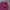 The North Face long-sleeved polo shirt in maroon with thin h photo 1