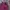 The North Face Long-sleeved Polo Shirt In Maroon With Thin H