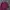 The North Face long-sleeved polo shirt in maroon with thin h photo 4