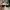 Y2K Glasses
