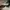 brat charli xcx sunglasses photo 1