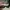 Brat Charli Xcx Sunglasses