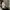 brat charli xcx sunglasses photo 3