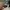 brat charli xcx sunglasses photo 2