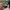 Brat Charli Xcx Sunglasses