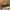 Lapalette cupcake  photo 5