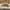 Guess leather belt women photo 2