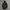 Japanese brand Goth Avant Garde Parka Pria black photo 1