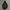 Japanese Brand Goth Avant Garde Parka Pria Black