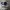 Adidas London sz 44 2/3 photo 1