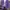 Knitwear Cardigan Pattern Purple photo 1