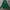 Adidas S.E. Palmeiras sz S photo 1