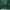 Adidas S.E. Palmeiras sz S photo 4