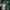 Adidas S.E. Palmeiras sz S photo 5