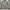 Knitwear Boxy Turtleneck Light Brown GU photo 2