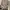 Knitwear Boxy Turtleneck Light Brown GU photo 1