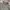 Knitwear Boxy Turtleneck Light Brown GU photo 6