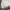 Knitwear Cable V neck Academia SPAO photo 7