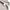 Logan quarter zipper knitted s/s polo shirt light tan photo 4