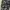 custom faded painted camo cargo shorts photo 2