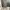 custom faded painted camo cargo shorts photo 6