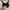 Airism Uniqlo Seamless Black Bra photo 2