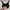 Airism Uniqlo Seamless Black Bra