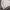 Knitwear Boxy Cable Turtleneck Cream photo 4