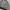 Knitwear Halfbutton Pattern Gray Single pocket Mayfield photo 6