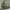 Knitwear Cardigan oversize Blank Army GU photo 5