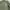 Knitwear Cardigan oversize Blank Army GU photo 4