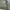 Knitwear Cardigan oversize Blank Army GU photo 6