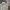 Dickies Casual Formal Shirt Pria White Green