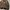 L.L.Bean Vintage Leather jacket Pria tan photo 5