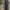 L.L.Bean Vintage Leather jacket Pria tan photo 4