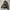 L.L.Bean Vintage Leather jacket Pria tan photo 2
