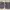 AUTH. VINTAGE Y2K COACH BLACK SIGNATURE ( NETT) 
 photo 6