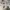 Converse Streetwear Y2K Hat Pria cream photo 4