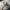 Converse Streetwear Y2K Hat Pria cream photo 3