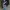 Fashion Nike Big Swoosh photo 2