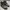 PALLADIUM Pampa Grey photo 6