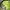 Topi realtree trucker photo 4